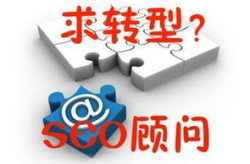 seo顾问服务,助力企业提升搜索引擎排名与网络影响力