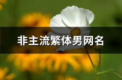 非主流繁体字网名,非主流网名演绎独特个性风采