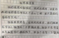粽子作文摘抄他的样子简单,粽叶包裹的传承之美